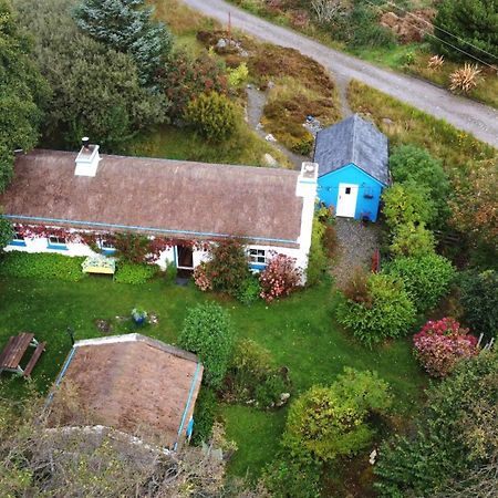The Rockhouse - Cosy Stone Built Thatch Cottage دونغلو المظهر الخارجي الصورة