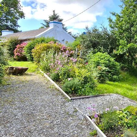 The Rockhouse - Cosy Stone Built Thatch Cottage دونغلو المظهر الخارجي الصورة