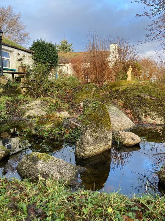 The Rockhouse - Cosy Stone Built Thatch Cottage دونغلو المظهر الخارجي الصورة
