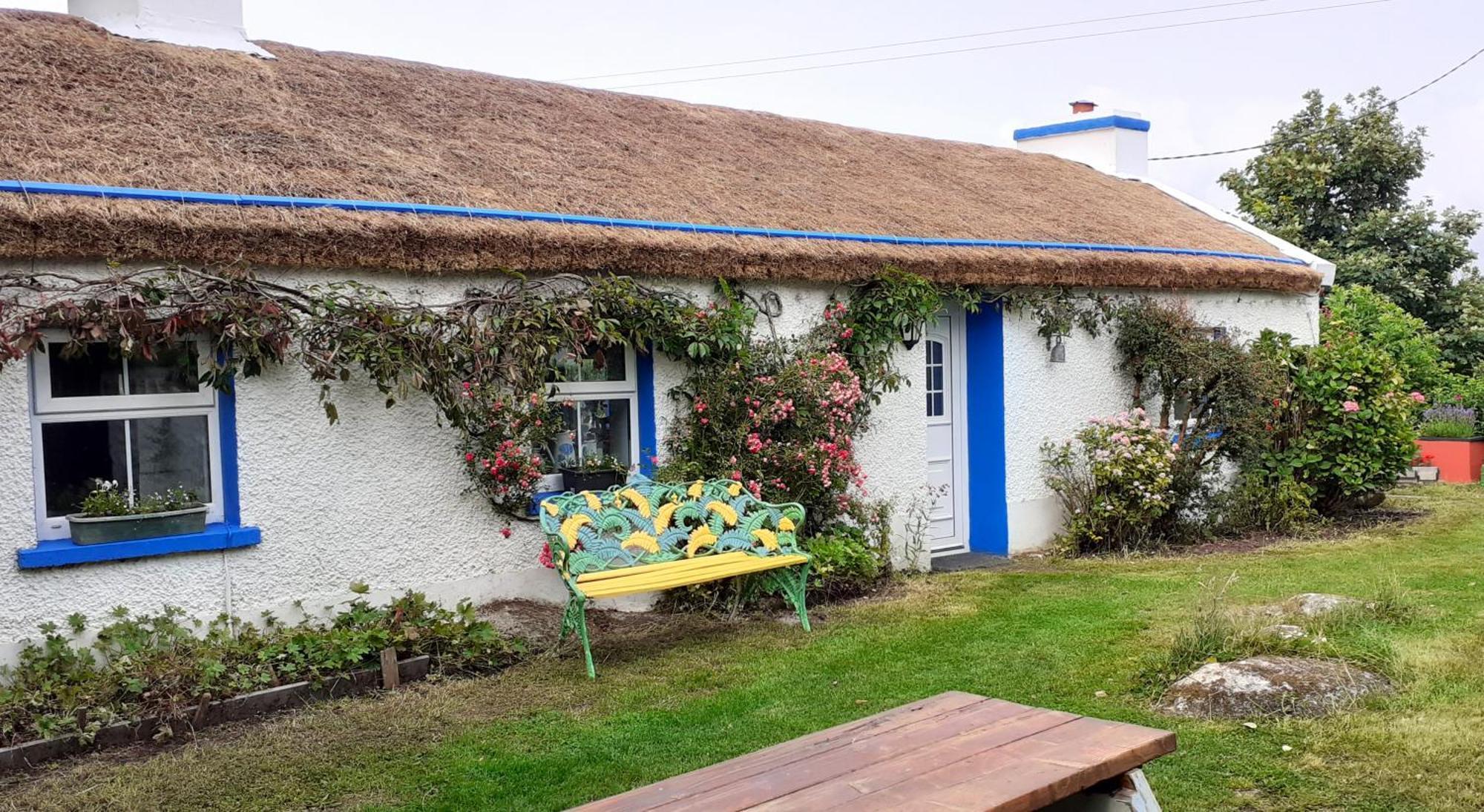 The Rockhouse - Cosy Stone Built Thatch Cottage دونغلو المظهر الخارجي الصورة