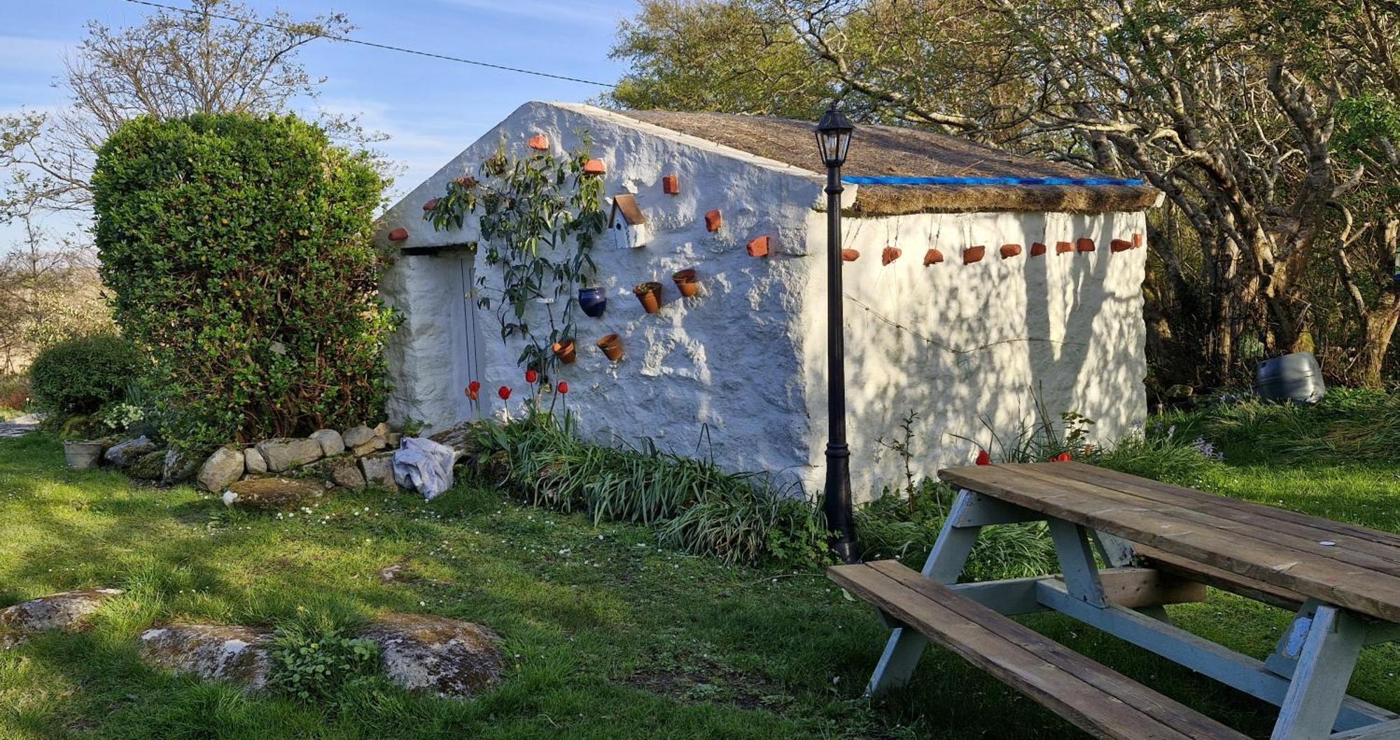The Rockhouse - Cosy Stone Built Thatch Cottage دونغلو المظهر الخارجي الصورة